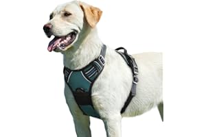 Eagloo Szelki dla Psa, Bez Ciągnięcia, z Klipsem z Przodu, Kamizelka dla Dużych Psów, Regulowana, Miękka Wyściełana, Odblaskowa, Bez Duszenia, Oddychająca