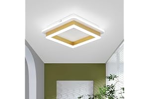EIDISUNY Modern Ceiling Light LED Simple Elegant LED Ceiling Lamp Square LED Ceiling Lights Fixture for Hallway Office Bedroom Kitchen Living Room Aisle Corridor Porch - 24W (Cool White Light 6000K).