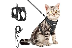 PetBonus Harnais et laisse réglables pour chat, anti-fuite, respirant, facile à contrôler, laisse réfléchissante et harnais pour chats, chatons, chatons (noir, taille XS)
