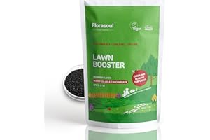 florasoul® Engrais Gazon Bio Vegan pour Pelouse | Pelouse Saine, Verte et Luxuriante du Printemps à l'Automne | Respectueux des Animaux, Soluble dans l'eau – 500g pour 800m²