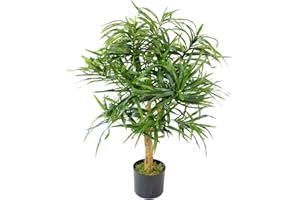 Leaf AZ-FICUS - Albero/pianta artificiale realistica, 100 cm, Dracaena Spike, 100 cm