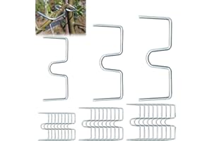 Gxlaihly 30 Pièces écarteurs de Branches pour Arbres fruitiers, 8, 10, 13cm, Épandeur de Branches, Supports de Fixation pour Arbres fruitiers, pour Jardin, Arbre fruitier, Branche, Support de Plante