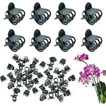 Heeqinn Orchideen-Clips Mit Zähnen – 100 Stück, Grün, Pflanzenclips Zum Festhalten Von Ranken An Stäben Oder Gittern
