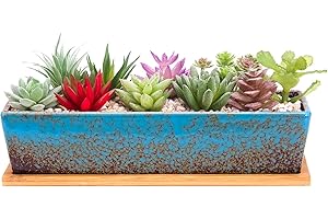 ARTKETTY Macetas suculentas rectangulares de 12 Pulgadas de Largo con bandejas de Drenaje, macetas Grandes de cerámica con Cactus para Plantas de Interior/Exterior, Caja de Ventana de bonsái Poco Profunda