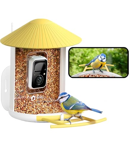 Mangiatoia Intelligente Per Uccelli Con Fotocamera 2K - Pannello Solare, Riconoscimento AI, Visione Notturna - Regalo Originale - 2