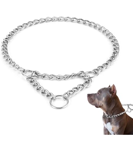 6 Anelli Saldati In Acciaio Inox - Per Fitness, Campeggio, Yoga E Tanto Altro! - Foto 5