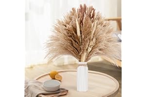 Ramo de Flores Secas Naturales, Revivoer 100 Piezas de Plantas Secas de Pampas, Decoración Boho, Ramas Secas Decorativas y Flores Secas para Jarrones y el Hogar (02)