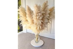 DOERFEELL Pampasgras Groß, 11 Stück 110CM Pampasgras Deko Natürliche und Flauschige Pampas Grass XXL Getrocknet Bouquet für Tisch Schlafzimmer Hochzeit Wohnzimmer DIY Trockene Trockenblumen