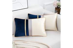 DAKTOU Funda Almohada Rectángulo Fundas de Cojín para Sofá Cama Sillones Bancos Jardín Silla Mueble Exteriores Azul Marino y Blanco Empalme Dorado Bordes 2 Piezas, 30 x 50cm,12 x 20 Inch