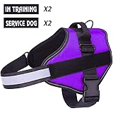 service dog harness purple