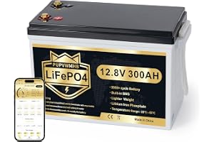 LiFePO4-batteri 12 V 300 AH med Bluetooth, BMS 200 A, upp till 15 000 cykler, max 3840 Wh, skydd för låg temperatur, djup cyk