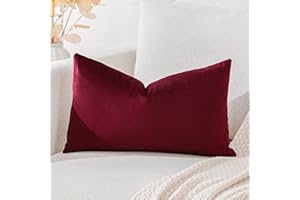 Artscope Fundas de Cojines de Terciopelo Decorativas Cuadradas Color Solido 30x50cm para Decoración del Hogar Sofá Dormitorio Coche Vino Tinto