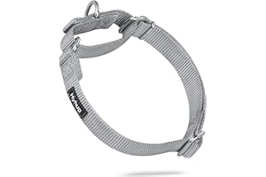 Hyhug Heavy Duty Nylon Anti - Escape Martingale Dog Collar for Large Medium Small Boy and Girl Dogs - Walking Training Daily Use. (Large, Sleet Gray)