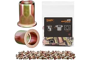 HANGLIFE Rivetti Filettati, M10 Metric Inserti Filettati (40 Pezzi) - Dadi per Rivetti a Testa Piatta, Zincati, in Acciaio al Carbonio con Corpo Zigrinato