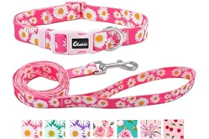 Olahibi Daisy Pattern Dog Collar and Leash Set,Durable Polyester Collar and 150CM Matching Lead for Puppy Dogs.(XS, Pink Daisy)