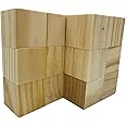Fycooler Basswood Whittlers Carving Blocks,Wood Carving/Whittling Kit,Unfinished Wood Blocks for Wood Carving, DIY Carving Wood for Wood Carving Hobby Whittler Art Sculpturing Craft -5x5x5cm-12Pcs