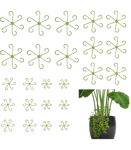 Support De Pile De Support Pour Plantes Grimpantes Pour Fleurs, Arrangement De Serres En Demi-cercle, Support De Tige De Fixation, Outil De Bonsaï De Jardin Pour Verger