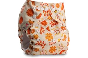 Littles & Bloomz, Reusable Pocket Cloth Nappy, Fastener: Popper, Set of 1, Pattern 104, Without Insert