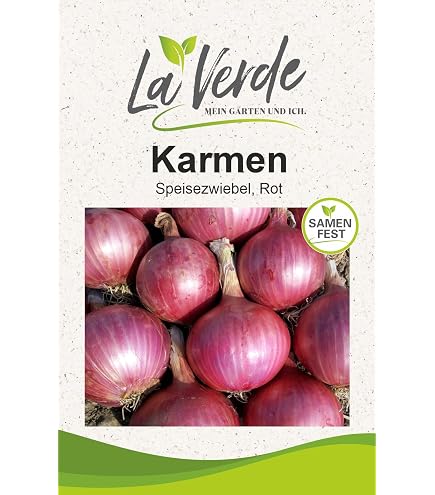 Seedeo Zwiebel Rote Laaer (Allium cepa L.) 200 Samen BIO : Amazon.de:  Garten
