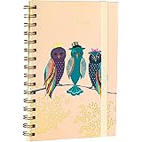 NUOOO Paper Notebook with Dividers Spiral Notepad Classic Thick Ruled Journal Hardback Wirebound Writing Notebooks a5 Lined 1