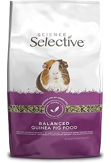 fruity nuggets for guinea pigs