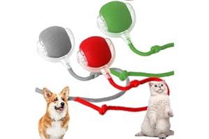RUICUBEI Chewie Rolling Ball, interaktives Spielzeug für Katzen, interaktives Spielzeug für Katze mit LED-Licht, automatisches 360-Grad-Drehspielzeug für Katzen und Hunde (3 Stück)