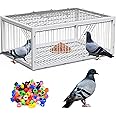 BREUAILY Auto Trap Pigeon Cage with 200Pcs Foot Ring Folding Pigeon Cage with One-Way Entry Four Channel Bird Trap Cage for Pigeons Parrots Chicken 64 * 44 * 26cm