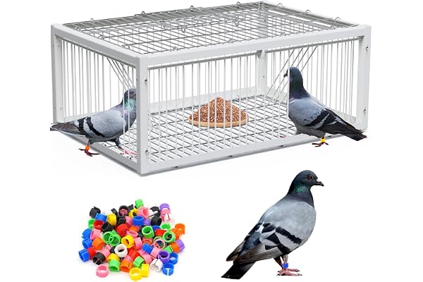 BREUAILY Auto PièGe à Pigeons Grand PièGe à Oiseaux EntréE Unidirectionnelle Piege Oiseau Capture Corbeaux avec 200 Anneau de Pied pour Pigeons de Course Colombes Oiseaux 64 X 44 X 26 Cm
