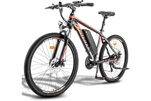 Fafrees Bicicleta eléctrica, Bici eléctrica de montaña para Hombre,Bici eléctrica para Adultos de 26 Pulgadas, Motor 250W, Batería extraíble 36V/10 Ah, ebike Shimano 21 vels, Control App