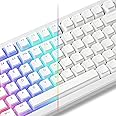 LQXQ Pudding Keycaps PBT, keyboard 100 percent 130 Keys, Shine Through Keycaps, Custom Keyboard Keycaps OEM Profile for 100%, 75%, 65%, 60% MX-stem Switches Keyboards - White