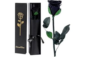 FRFG Rosa Eterna, Rosa Natural Preservada con Tallo Regalos para Mujer, Regalo de Cumpleaños de Aniversario Dia de la Madre Dia de San Valentín para Mamá Novia Mujeres (Negro)