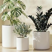Omysa Fioriera Con Supporto In Legno Di Noce, Vaso In Ceramica Bianca 25,4 Cm, Con Foro Di Drenaggio, Moderno Per Piante Da Interno - 2