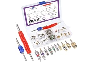 Swpeet Kit de 102 accesorios de núcleo de válvula de aire acondicionado, incluyendo surtido R12 R134a núcleo de válvula de refrigeración núcleos de válvula de neumático con herramienta de extracción