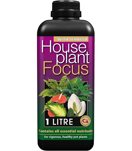 Growth Technology Houseplant Focus