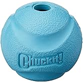Chuckit! Fetch Ball K&ouml;pek Oyun Topu (B&uuml;y&uuml;k Boy)