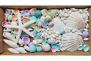 AVALON COSMETIC PACKAGING Avalon Mixed SEA Shells Collectable Small Seashell Mixes, Decorative Craft Shells, White Shells, Starfish, Weddings/Home Decor, Beach & Costal Themed Arts and Crafts Projects & Parties (Mix #ML)