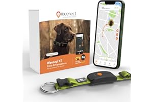 Weenect Dog XT - Nuevo Collar GPS para Perros | Antena XL | Impermeable | Collar Amarillo Ultra-Resistente Integrado Julius-K9 | Garantía de por Vida | Suscripción requerida