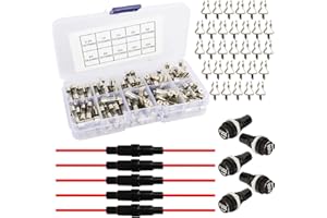 BeiLan 150pcs 5x20mm Fast-Soffiare il Vetro Fusibili + 5pcs AGC Inlineaa Vite Tipo Portafusibile + 5pcs Portafusibili per Montaggio a Pannello + 30pcs Sede del Fusibile, Auto Fusibili in Vetro Kit