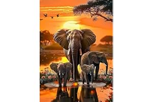 CEOVR Peinture Diamant Adulte,5D Diamond Painting Kit Complet, 30x40 cm,Painting Diamant Kit Adulte (orange marron noir)