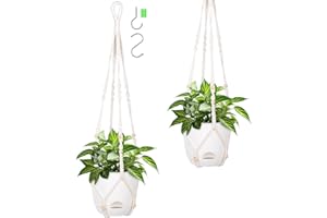 QCQHDU 2 PCS 18cm Pot Suspendu Plante Exterieur & Intérieure，Pots de Fleurs à Suspendre，86,36cm Macrame Suspension Plante,Bassin intérieur Transparent en Plastique avec Trou de Drainage