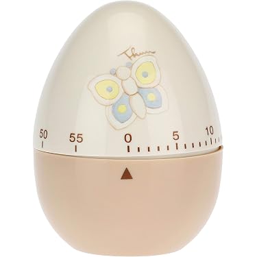 Tier da cucina analogico da 60 inuti per la gestione del tepo per