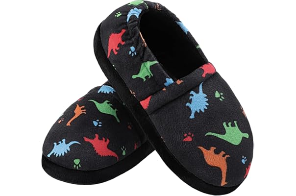 big boy slippers size 6