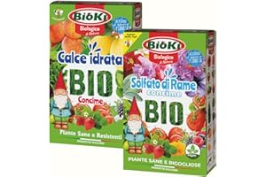 ANTIKA OFFICINA BOTANIKA Solfato di rame + Calce idrata per trattamenti su piante da orto, da frutto e piante ornamentali kit completo Biologico