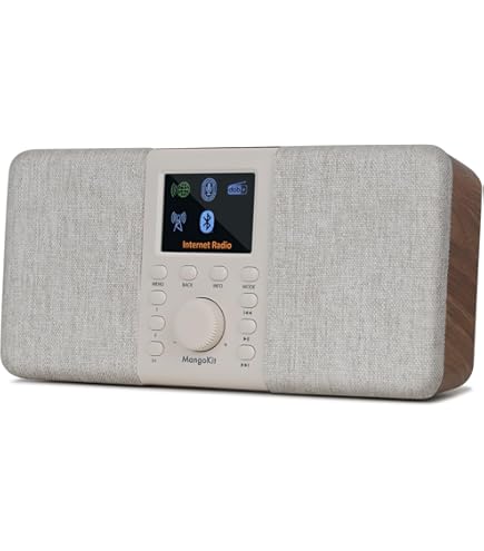 Radio Dab - Dab+ Radio Numérique Fm - Haut-Parleur Portable Sans Fil