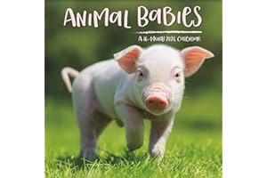 2024 Animal Babies Mini Wall Calendar