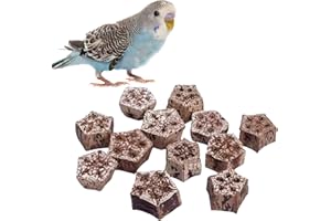DWE Bird Chewing Foraging Toys, 24 Pcs Poplar Walnut Dried Star Fruit Interactive Bird Toys Parrot Treats for Budgie Cockatiel Conures Cockatoos African Greys