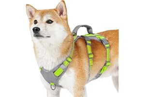 Huntboo pettorina cane taglia piccola media grande, pettorina antifuga cane, pettorina per cani con Manico, Traspirante, Regolabile, Riflettenti, Leggera, per Passeggiate e Addestramento (Verde,S)