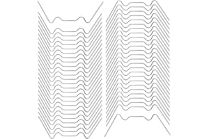 RONGZUBAT 100pcs Greenhouse Glass Clips W Stainless Steel Spring Clips for Greenhouse Glass Panes