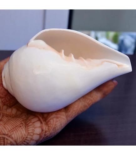 Shankh Soffiante Per Pooja - Conchiglia Naturale Con Suono Eco Per Spiritualità - Foto 5