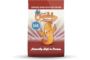 CHUBBY MEALWORMS Chubby Dried Mealworms (1 kg), Dried Mealworms For Wild Birds, Protein Rich Meal Worms High Energy Mealworm for Birds, Reptiles, Gecko